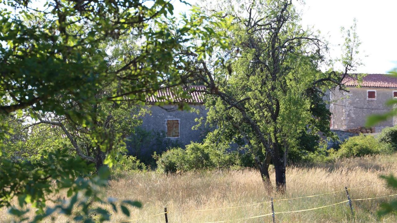 Casa Conte Istria Vila Kanfanar Exterior foto